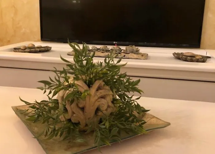 Rio Maison d'hôtes Portimão